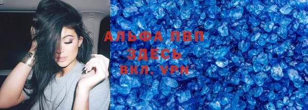 индика Нязепетровск