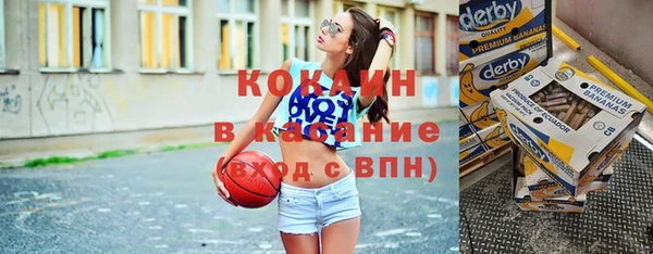 индика Нязепетровск