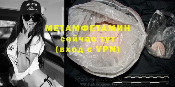 индика Нязепетровск