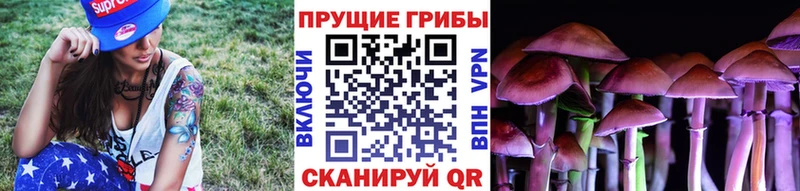 как найти закладки  Миллерово  Псилоцибиновые грибы GOLDEN TEACHER 